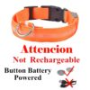 Colar recarregável USB para cachorro de estimação LED brilhante e piscante  [suprimentos de segurança] - Image 7