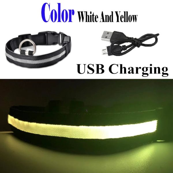 Colar recarregável USB para cachorro de estimação LED brilhante e piscante  [suprimentos de segurança] - Image 8