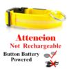 Colar recarregável USB para cachorro de estimação LED brilhante e piscante  [suprimentos de segurança] - Image 9